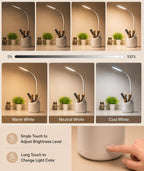 LED Study Lamp with Pen Stand