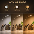 LED Study Lamp with Pen Stand